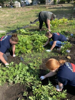 Success Computer Consulting team planting crops